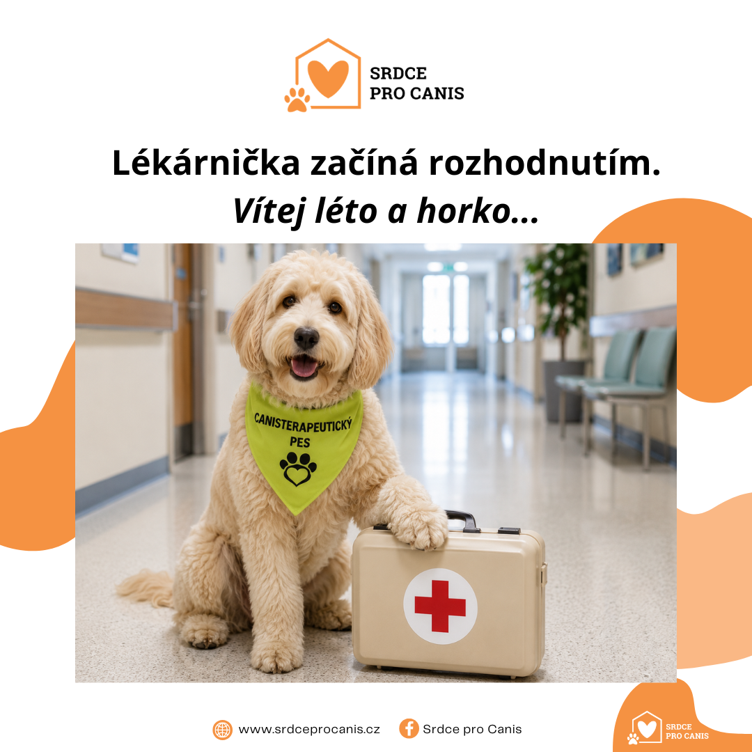 Lékárnička začíná rozhodnutím canisterapeuta.